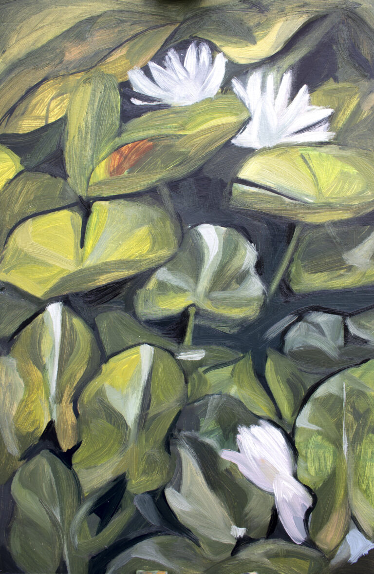 Water lilies sketch