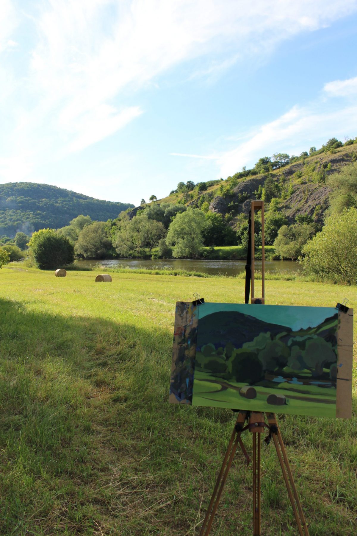 Meadow near Beroun, acryl on board, 2022, Price on request